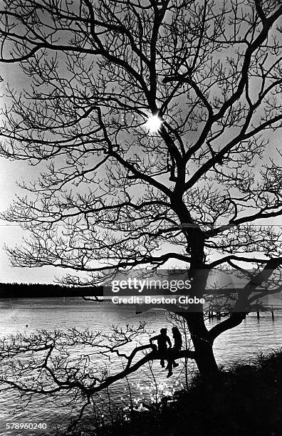 Peter Armstrong, of Friendship, Maine, and Jane Mahoney, of Roslindale, Mass., sit on a tree limb over the harbor in Friendship, Maine on Nov. 4,...