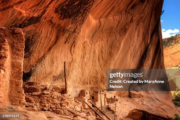 inside keet seel - keet seel canyon stockfoto's en -beelden