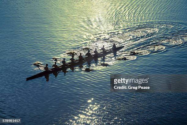 coxed eight sweep rowing team - rowing foto e immagini stock