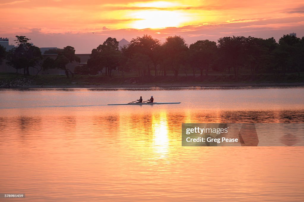 Sculling at sunrise