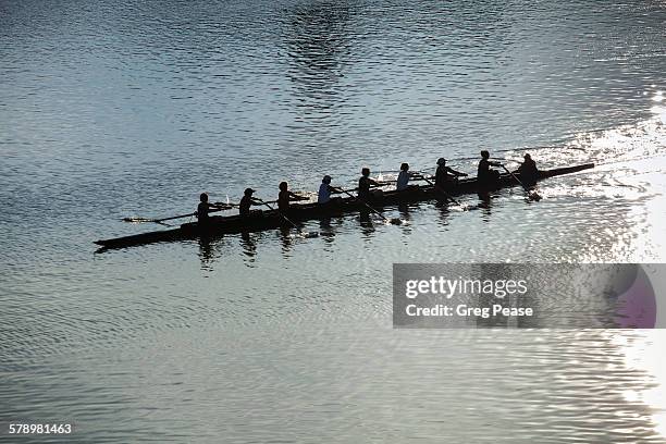 coxed eight sweep rowing team at sunrise - coxed stock pictures, royalty-free photos & images