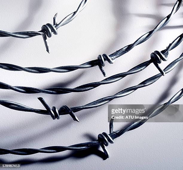 barbed wire - barbed wire imagens e fotografias de stock