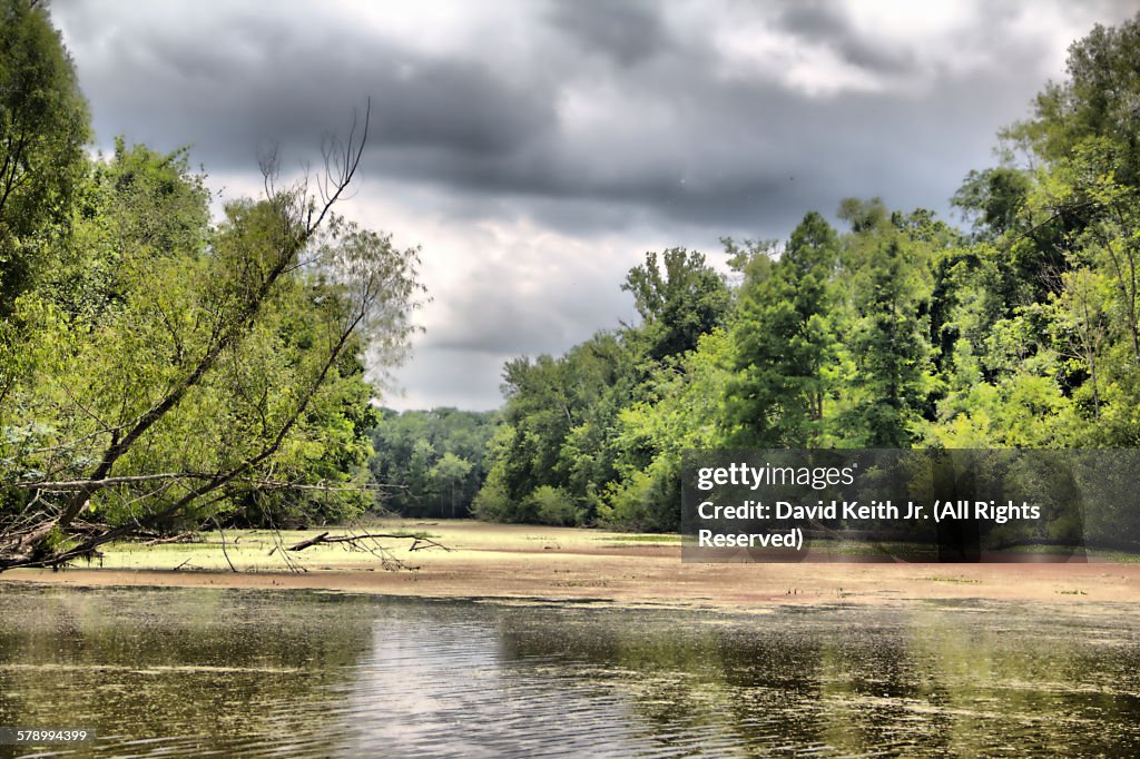 Bayou