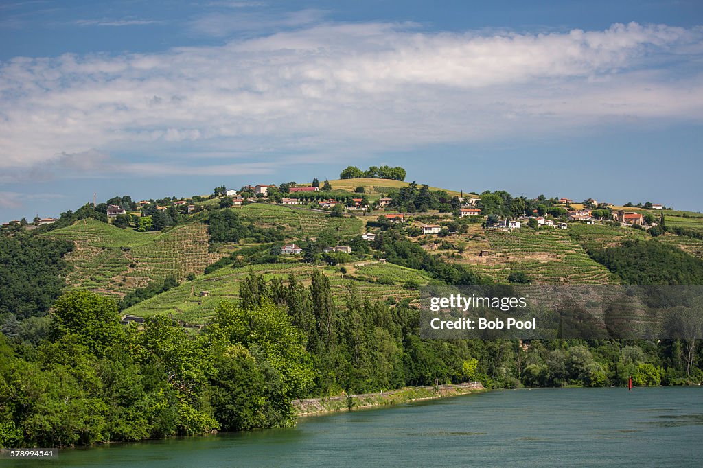 Rhone River and vineyards