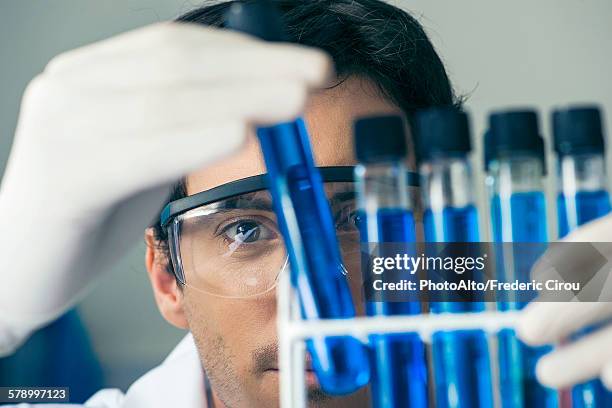 researcher scrutinizing test tubes in laboratory - test tubes stock-fotos und bilder