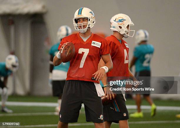 Pat Devlin American Football Photos and Premium High Res Pictures ...