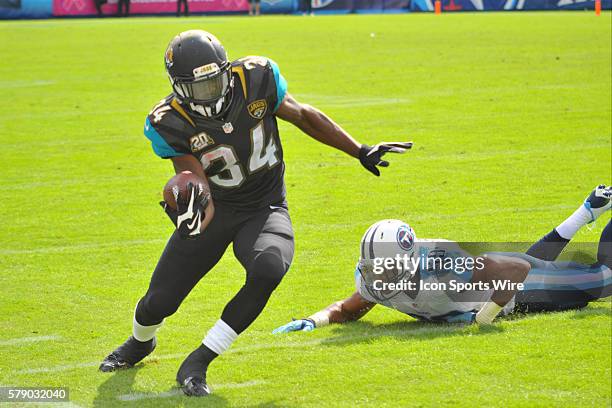 Jags Ropes 251 Taut Rope Stock Photos, High-Res Pictures, and Images - Getty Images