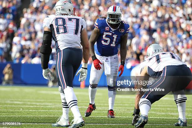 Linebacker Reads Brandon Spikes Patriots Photos and Premium High Res Pictures - Getty Images