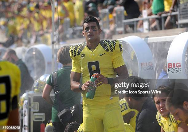 September 06, 2014 - University of Oregon QB Marcus Mariota on the sideline during an NCAA football game between the Michigan State Spartans and...