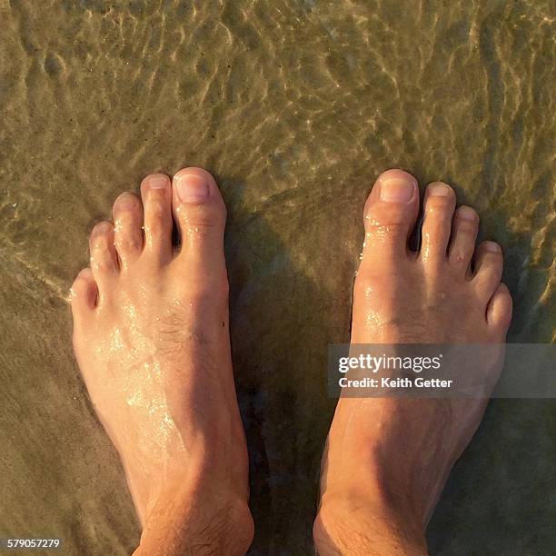 Hi Resolution Toes 84 Underwater Toes Stock Photos, High-Res Pictures, and Images - Getty ...