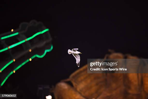 Seagull flies between the Coca-Cola and Glove sculptures late in the game, during the game between the San Francisco Giants and the Colorado Rockies...