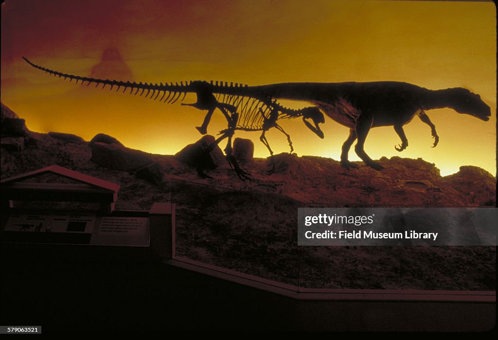 Herrerasaurus With Sunset