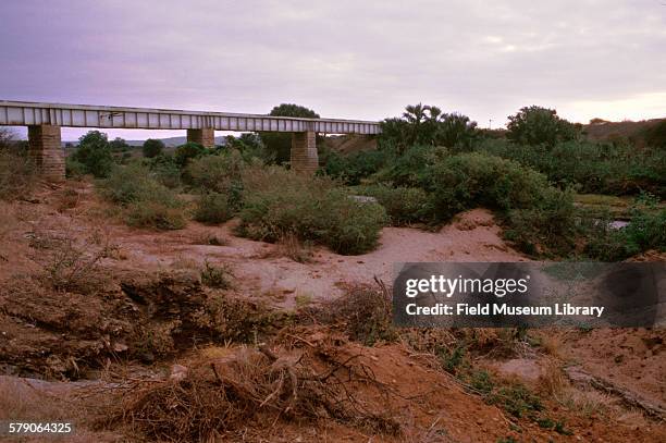 Tsavo bridge.