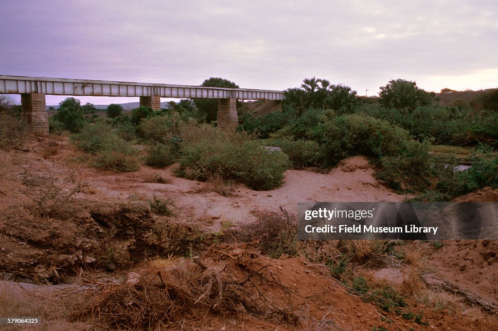 Tsavo Bridge