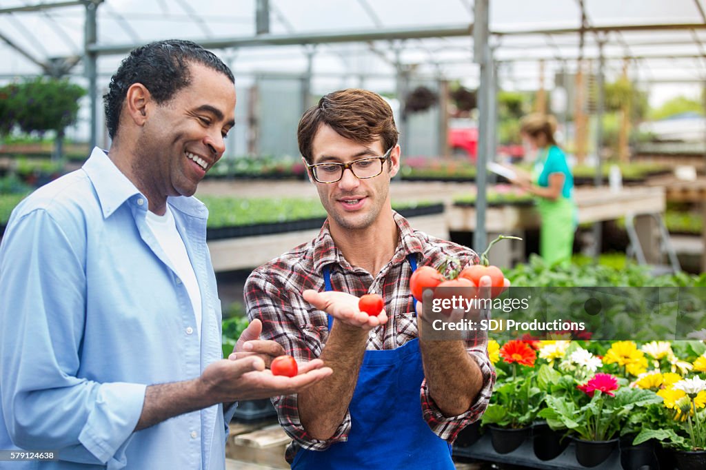 Happy customer being shown fresh tomatoes