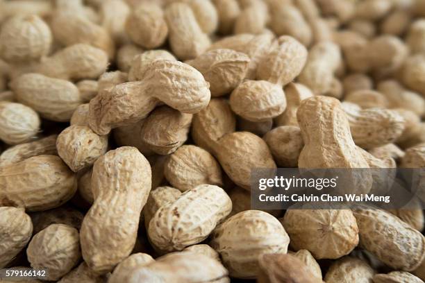 close-up of fresh chinese peanut in shell for sale - georgia steel stockfoto's en -beelden