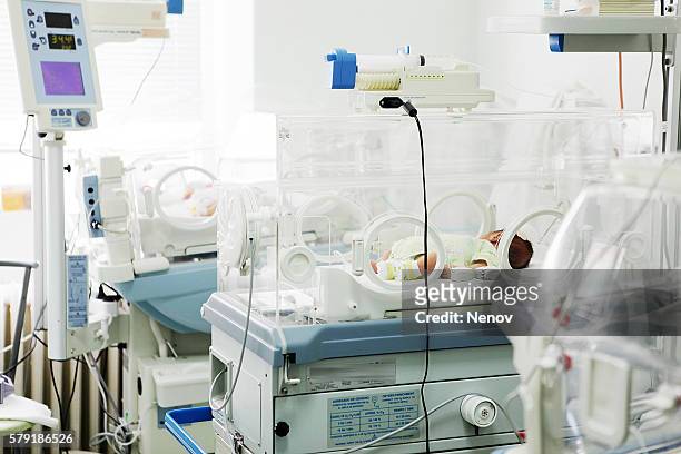 newborn care in the hospital - premature baby incubator stock-fotos und bilder