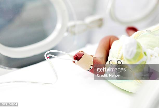 newborn care in the hospital - premature baby incubator fotografías e imágenes de stock