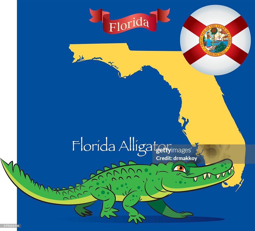 Florida Alligator
