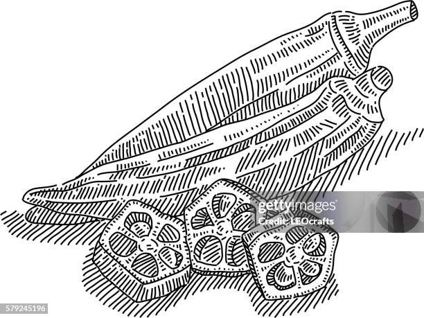 okra - okra stock illustrations