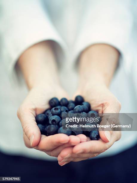 offering blueberries - berries and hand stock-fotos und bilder