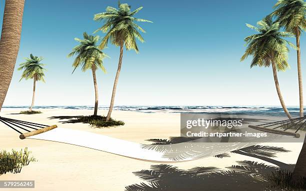 hammock between palm trees - hammock no people stock pictures, royalty-free photos & images