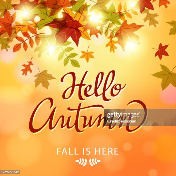 hello autumn leaves - red maple leaf stock illustrations