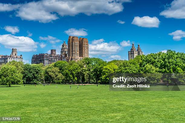 central park - new york - new york state park stock pictures, royalty-free photos & images