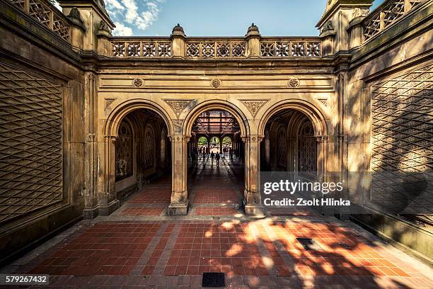 minton tiles at bethesda arcade - new york central park fountain stock pictures, royalty-free photos & images