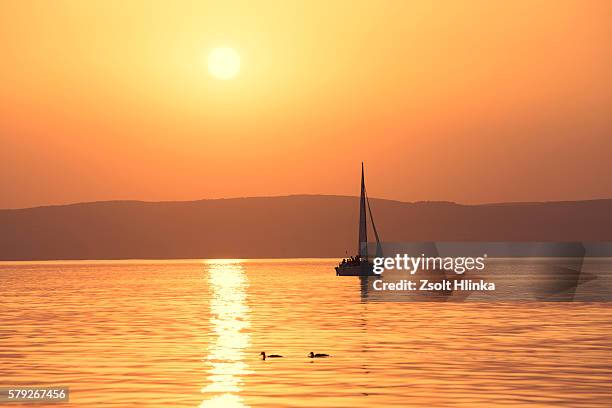 balaton lake and the sunset - hungary stock-fotos und bilder