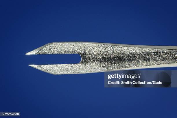 Tip Close 247 Needle Tip Close Up Stock Photos, High-Res Pictures, and Images ...