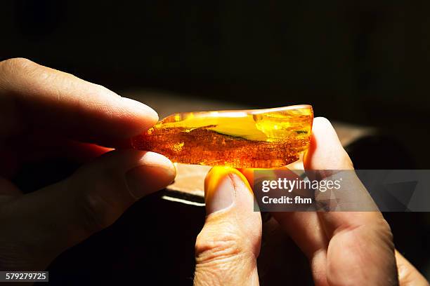 Amber Rok Amber Rock Photos and Premium High Res Pictures - Getty Images