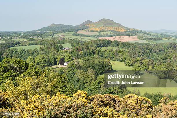 scott's view, scottish borders - scottish borders stock pictures, royalty-free photos & images