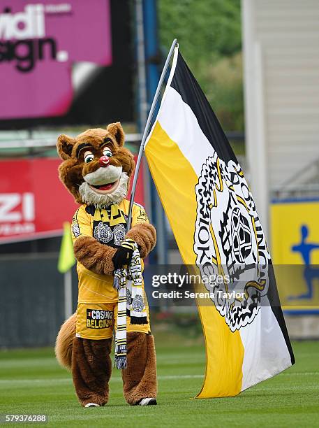 The KSC Lokeren mascot carries a flag during the Pre Season Friendly match between KSC Lokeren and Newcastle United on July 23 in Lokeren, Belgium.