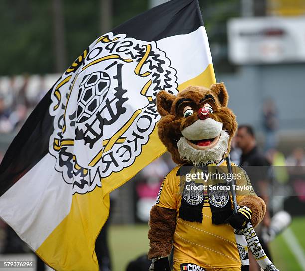 The KSC Lokeren mascot carries a flag during the Pre Season Friendly match between KSC Lokeren and Newcastle United on July 23 in Lokeren, Belgium.