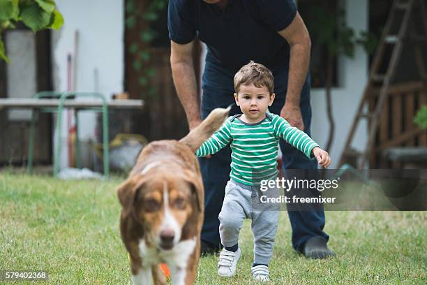 chasing the dog - dog chasing man stock pictures, royalty-free photos & images
