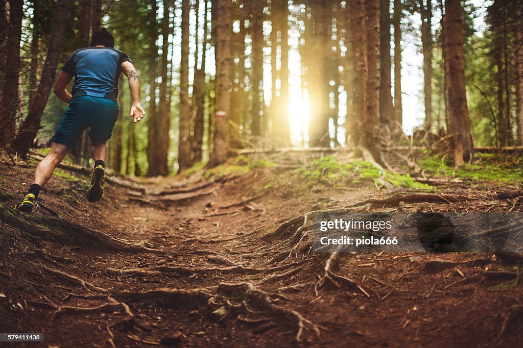Trail Running In The Forest High-Res Stock Photo - Getty Images
