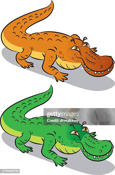 florida-alligator - pensacola stock-grafiken, -clipart, -cartoons und -symbole