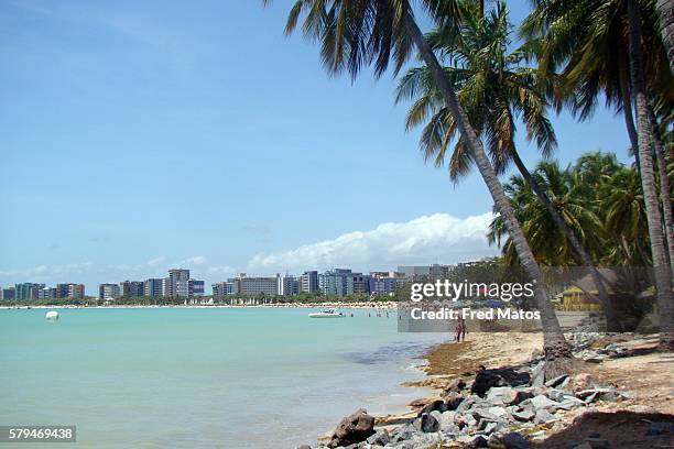 pajuçara beach - maceió stock pictures, royalty-free photos & images