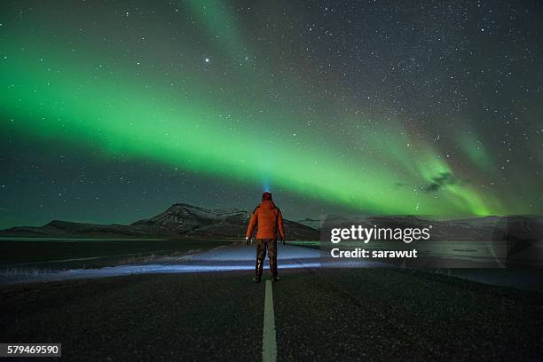 aurora borealis or northern lights, iceland - noorderlicht sterren stockfoto's en -beelden