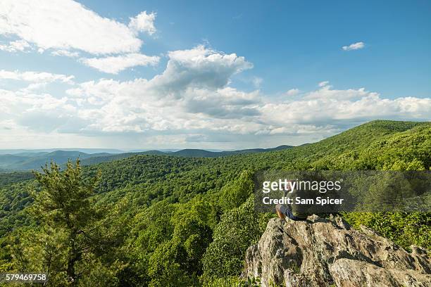 man taking photo on mountain summit overlooking lush green forest - shenandoah national park stock pictures, royalty-free photos & images