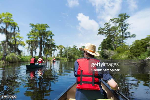 man canoeing through wetlands in louisiana - louisiana swamp stockfoto's en -beelden