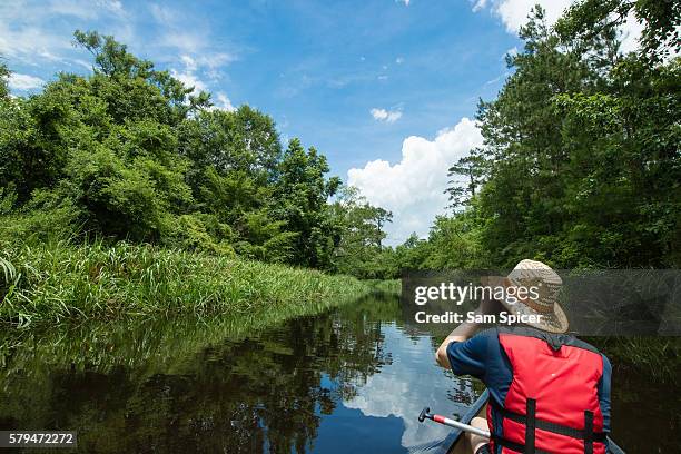 man canoeing through wetlands in louisiana - louisiana swamp stockfoto's en -beelden