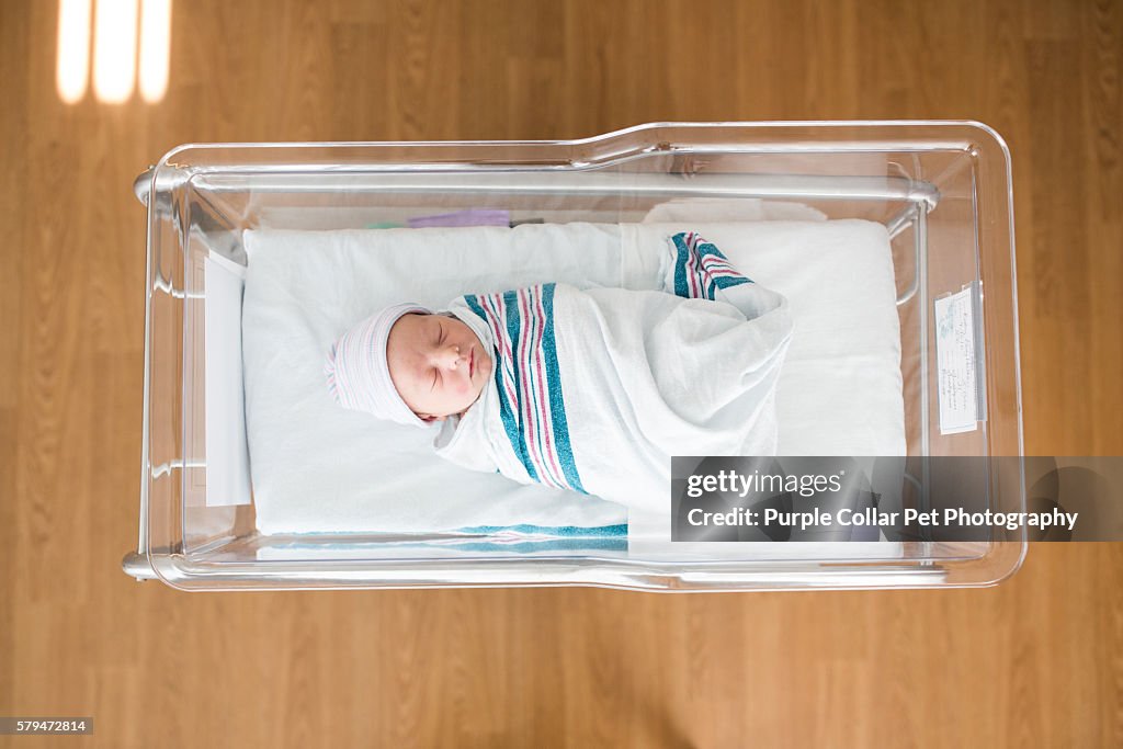 Newborn Infant Sleeping in Hospital