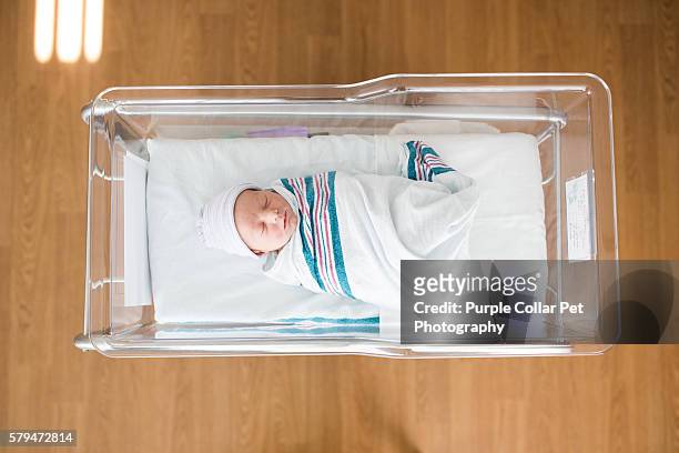 newborn infant sleeping in hospital - lettino ospedale foto e immagini stock