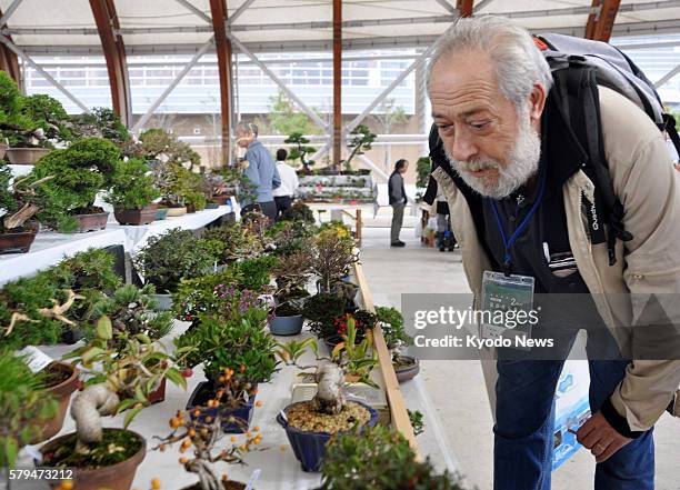 Japan - An international fair featuring bonsai trees and ornamental stones opens Nov. 18 for a four-day run in Takamatsu, Kagawa Prefecture, western...