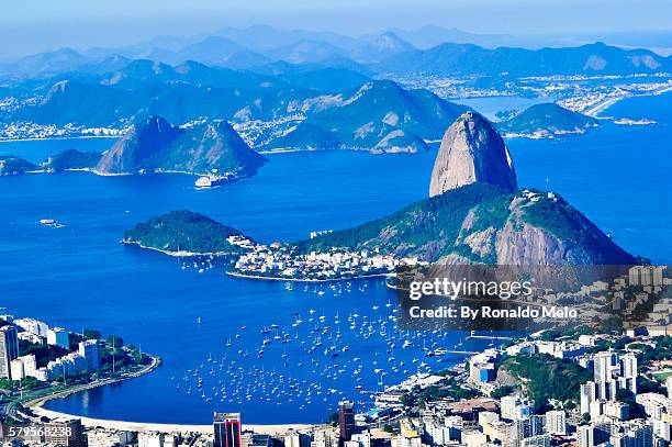 guanabara bay highlighting the sugar loaf - floresta tropical stock pictures, royalty-free photos & images