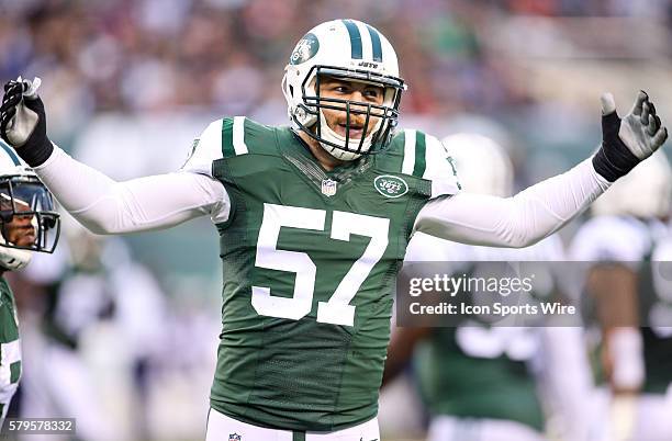 New York Jets Defensive End Trevor Reilly [11167] gets the support of the home crowd during the 2nd half of the game between the New England Patriots...