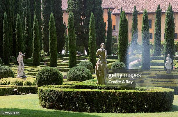 formal italian garden - verona italy stock-fotos und bilder