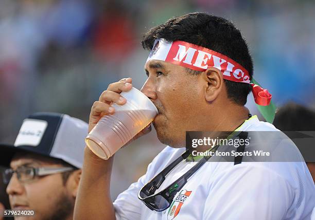 Mexican fan enjoys a beer from the stands during the CONCACAF Gold Cup match between Mexico and Trinidad at Bank of America Stadium in Charlotte,NC.